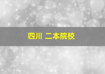 四川 二本院校